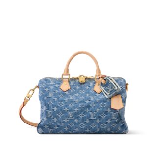Louis Vuitton SPEEDY SOFT 30 Handbag - Denim